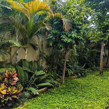 Los Gallos -Suite Vistas Panoramicas โลเดมาร์กอส ภายนอก รูปภาพ