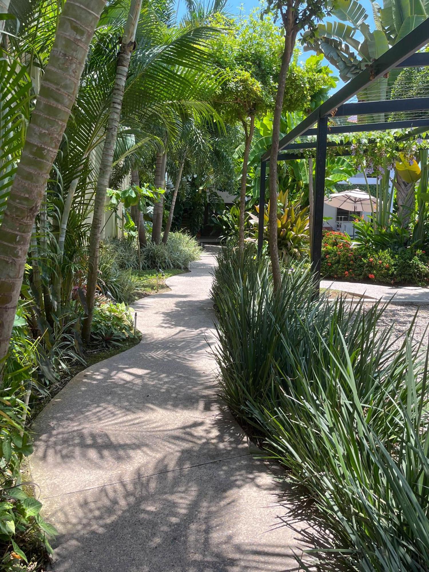 Los Gallos -Suite Vistas Panoramicas โลเดมาร์กอส ภายนอก รูปภาพ